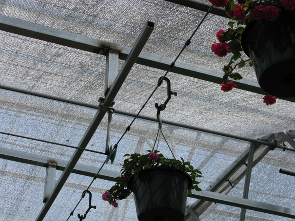 hanging baskets