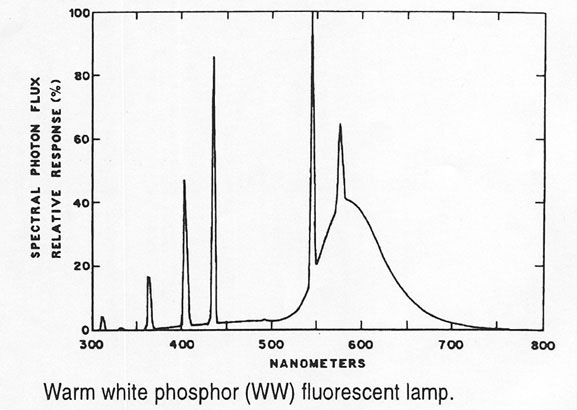 Warm White Lamps