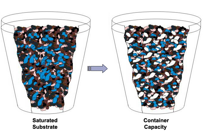 Saturated Substrate & Container Capacity