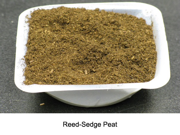 Reed-sedge Peat
